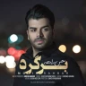 برگرد