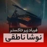 فریاد زیر خاکستر