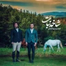 شاخه نبات
