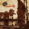 چی شد