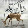 خیال کن که غزالم