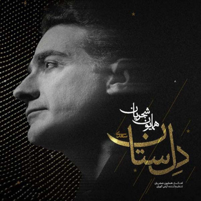 دل ستان