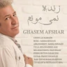 زنده نمی مونم
