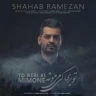 تو بری کی میمونه