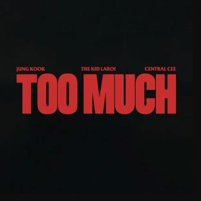 خیلی زیاد / Too Much  