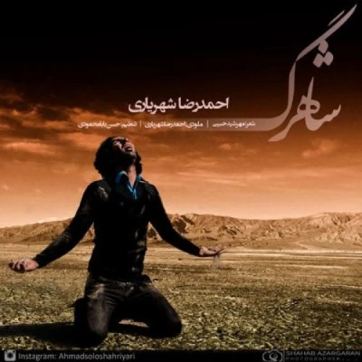 شاهرگ
