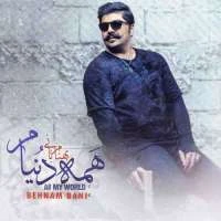 همه دنیام