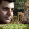 باد بهاری