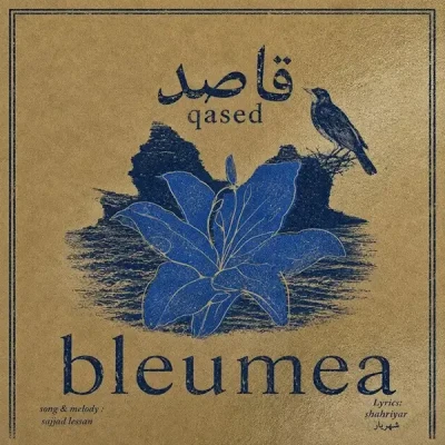 قاصدک