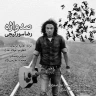 صد واژه