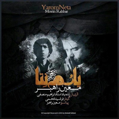 يارم نتا