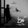 کلاغ به خونش میرسه