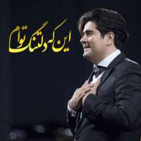 این که دلتنگ توام