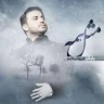 مثل همه