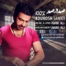 صد در صد