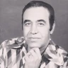 من یه پرندم